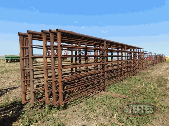 (7) freestanding 24' cattle panels, 